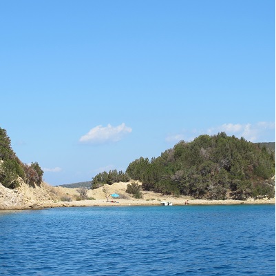 Thumbnail Image 1